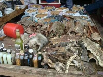 Authentic Spell Caster {+27608019525 }}╬ in South Africa, Spain, Suriname, Sweden Switzerland, Taiwan, Thailand, Turkey, Ukraine, United Arab Emirates, United Kingdom, Uruguay, South Africa, Venezuela, Vietnam