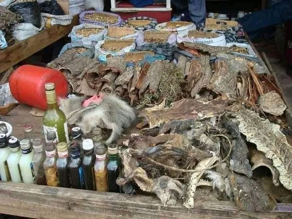 Authentic Spell Caster {+27608019525 }}╬ in South Africa, Spain, Suriname, Sweden Switzerland, Taiwan, Thailand, Turkey, Ukraine, United Arab Emirates, United Kingdom, Uruguay, South Africa, Venezuela, Vietnam