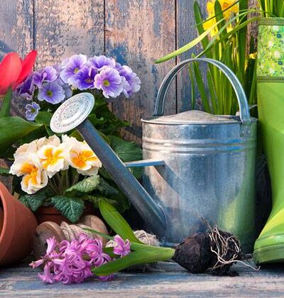 Home & Garden
