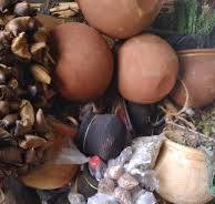 Traditional Healer ♥✯+27790293623 ✯♥✯Sangoma, Bring back lost lover / love spell caster IN Kimberley , Kirkwood , Klerksdorp , Knysna , Kokstad , Komga ,Kroonstad ,Kuruman , Lady frère , ladybrand ,Lebowakomo ,Lichtenburg , South Africa, Louis trichardt