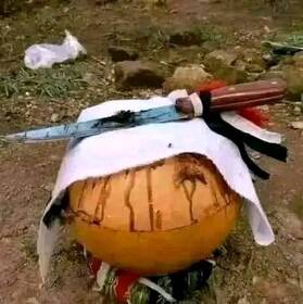 SANGOMA In Butterworth & Delmas +27790293623]TRADITIONAL HEALER ⓶:@# In Bredasdorp , Bronkhorstspruit ,