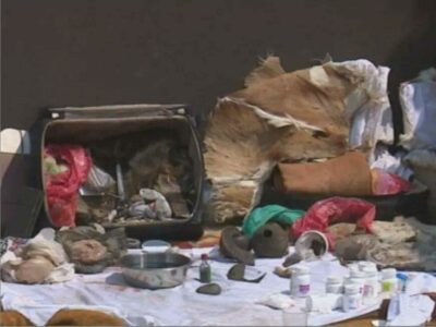 Quickest Lost Love Spell Caster +27736844586 in South Africa,UK,USA,Spain,Sweden,Canada,UAE,Malta,Brunei,Japan,Ireland,Turkey,Luxembourg,Iceland,Norway,Australia,Qatar,Croatia,Austria,Denmark,Netherlands,Romania,Belgium,Greece,Belarus,New Zealand,Switzerla