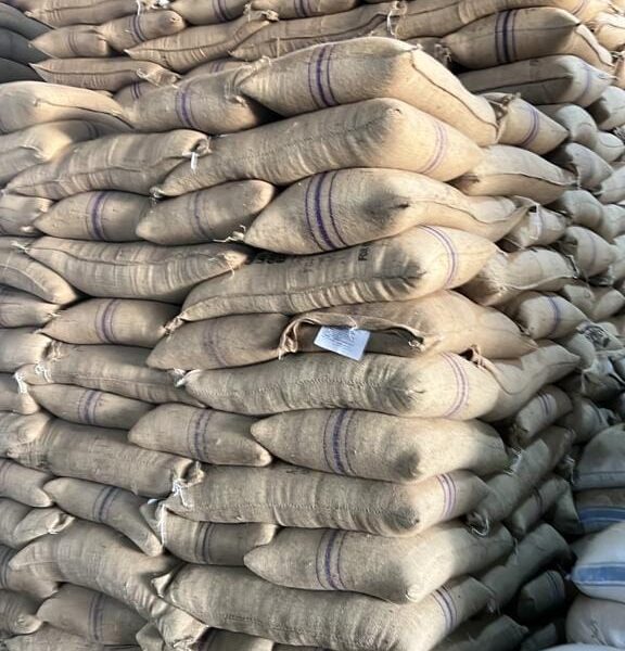 coffee beans ready for export+27719755564
