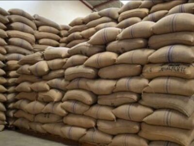 top-quality Ugandan robusta and Arabica coffee beans? Contact +27719755564