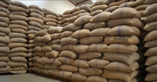 top-quality Ugandan robusta and Arabica coffee beans? Contact +27719755564