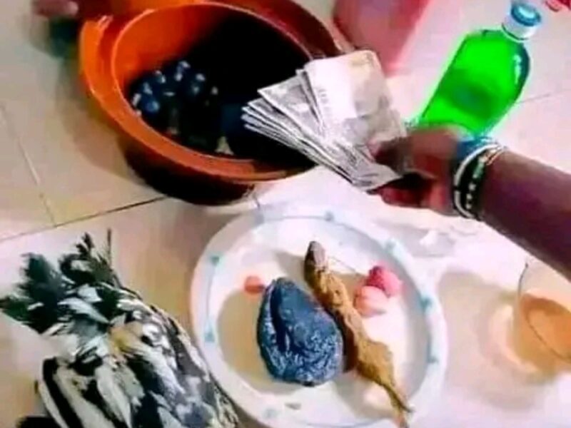 The Best Powerful SpirItual Herbalist Native Doctor IN Nigeria