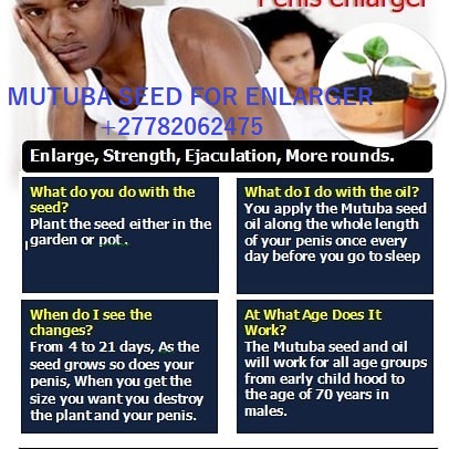 Erectile Dysfunction,Impotence,Sexual Dysfunction,Male Infertility,Libido,Sexual Health +27782062475