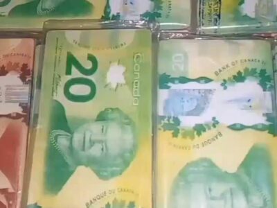Buy Fake Undetectable Canadian Dollars WhatsApp+27833928661 ,Buy Fake USD Online ($) buy fake canadian money online,Buy fake euros | Buy fake pounds For Sale In Tanzania,USA,UAE,UK,Kenya,Kuwait,Oman,Dubai,Qatar,Mozambique,Mauritius