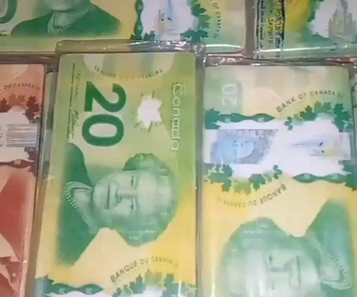 Buy Fake Undetectable Canadian Dollars WhatsApp+27833928661 ,Buy Fake USD Online ($) buy fake canadian money online,Buy fake euros | Buy fake pounds For Sale In Tanzania,USA,UAE,UK,Kenya,Kuwait,Oman,Dubai,Qatar,Mozambique,Mauritius
