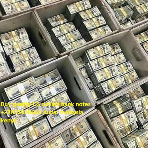 +27833928661 Buy AA+ Grade Undetectable High Quality Counterfeit Money Online, Real Passports, ID Cards, Driver's Licences +27833928661 For Sale In USA,UAE,UK,Kenya,Kuwait,Oman,Dubai,Qatar,Mozambique,Mauritius